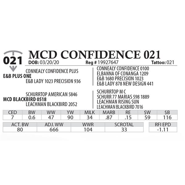 MCD CONFIDENCE 021