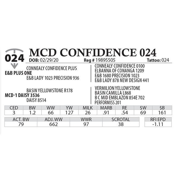 MCD CONFIDENCE 024