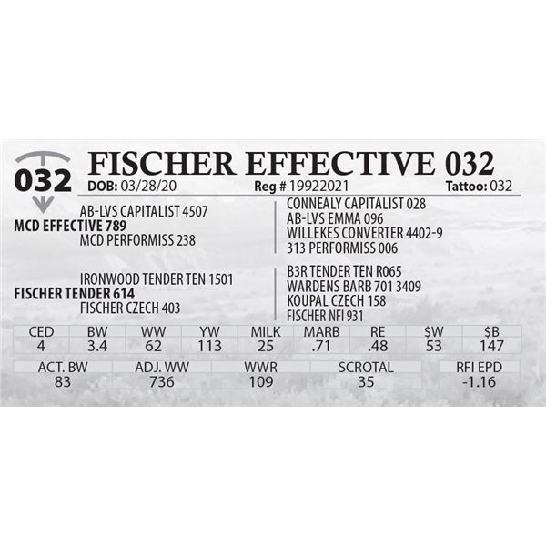FISCHER EFFECTIVE 032