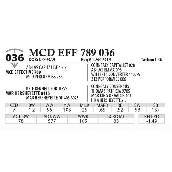 MCD EFF 789 036