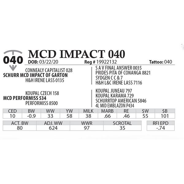 MCD IMPACT 040