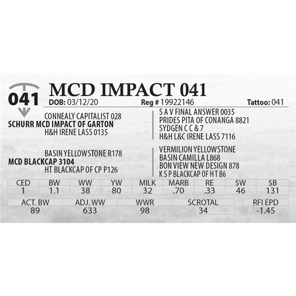 MCD IMPACT 041