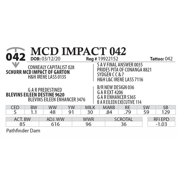 MCD IMPACT 042