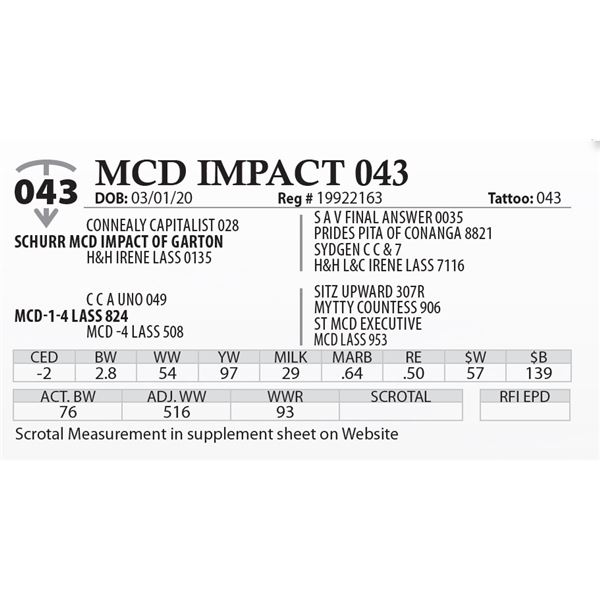 MCD IMPACT 043