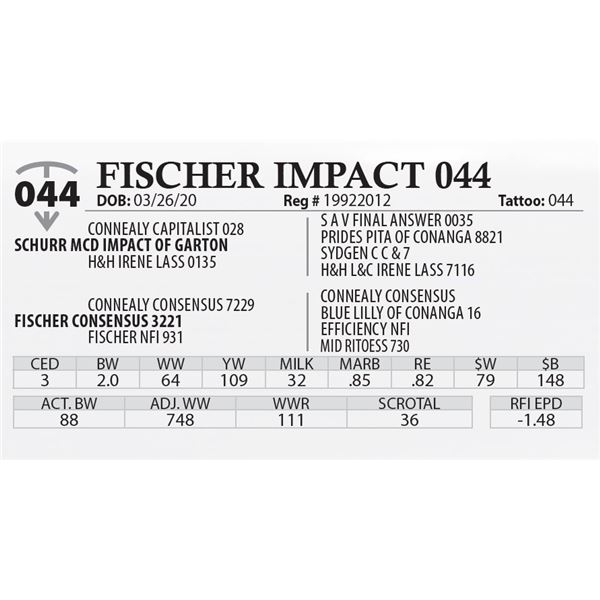 OUT OF SALE - FISCHER IMPACT 044
