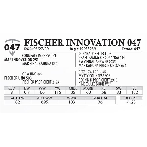FISCHER INNOVATION 047