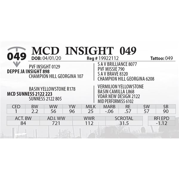 MCD INSIGHT 049