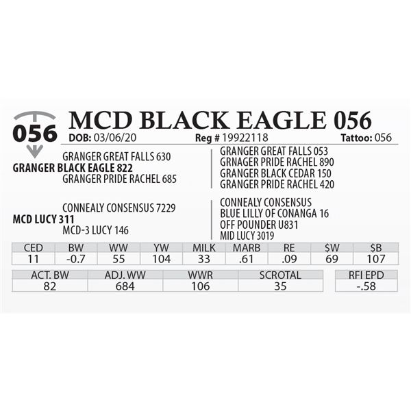 MCD BLACK EAGLE 056
