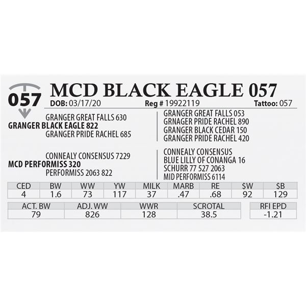 MCD BLACK EAGLE 057
