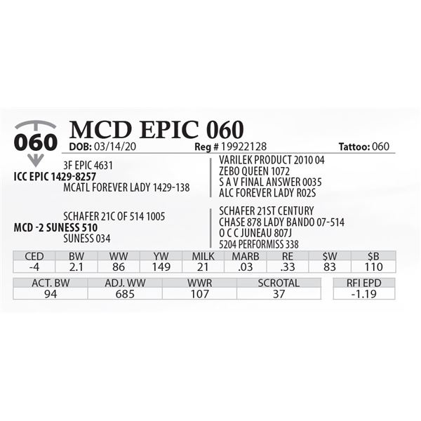 MCD EPIC 060