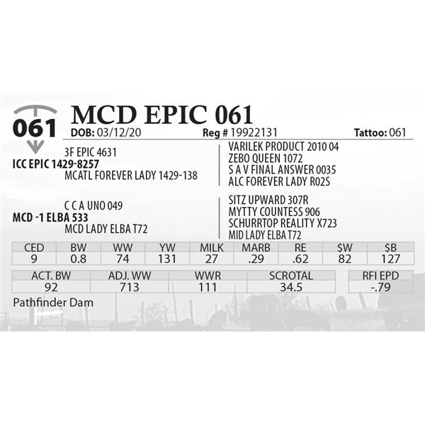 MCD EPIC 061