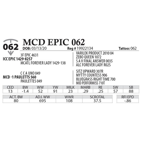 MCD EPIC 062