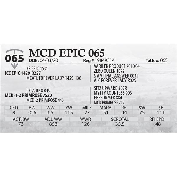 MCD EPIC 065