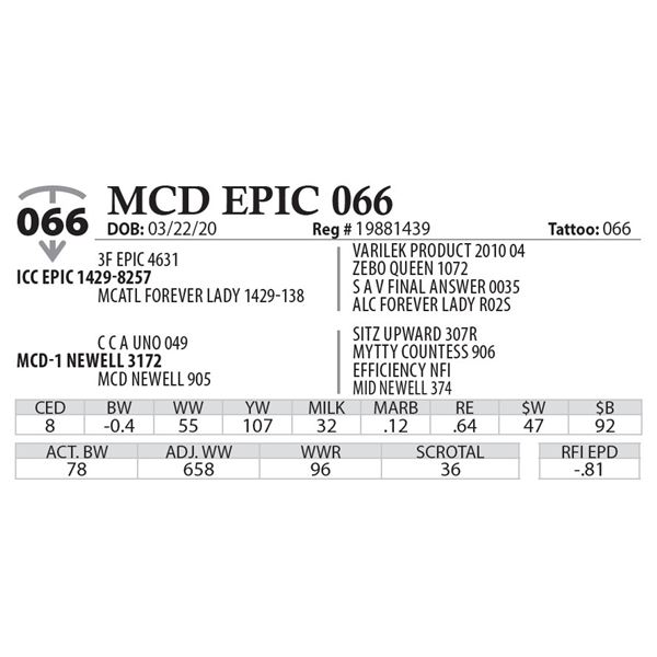 MCD EPIC 066