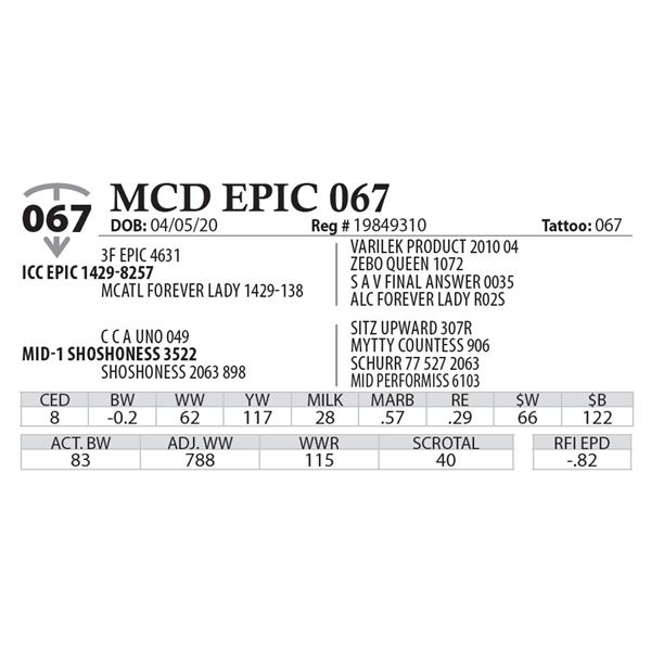 MCD EPIC 067