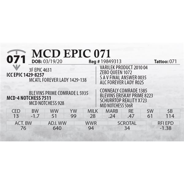MCD EPIC 071
