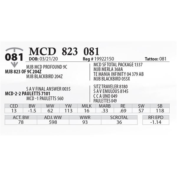 MCD 823 081