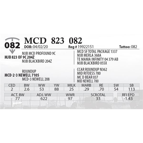 MCD 823 082