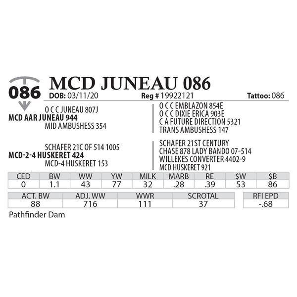 MCD JUNEAU 086