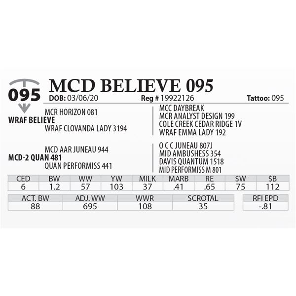 MCD BELIEVE 095