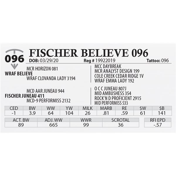 FISCHER BELIEVE 096
