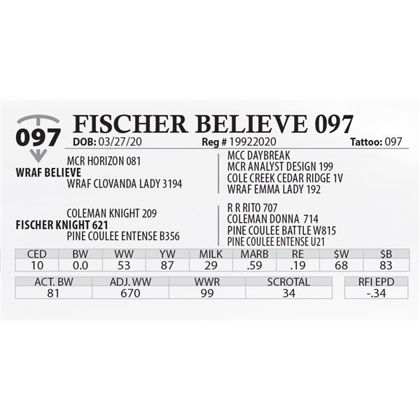 FISCHER BELIEVE 097