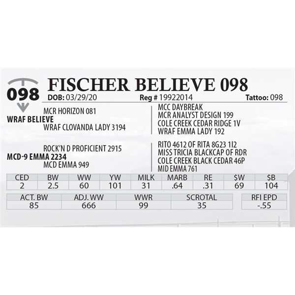 FISCHER BELIEVE 098