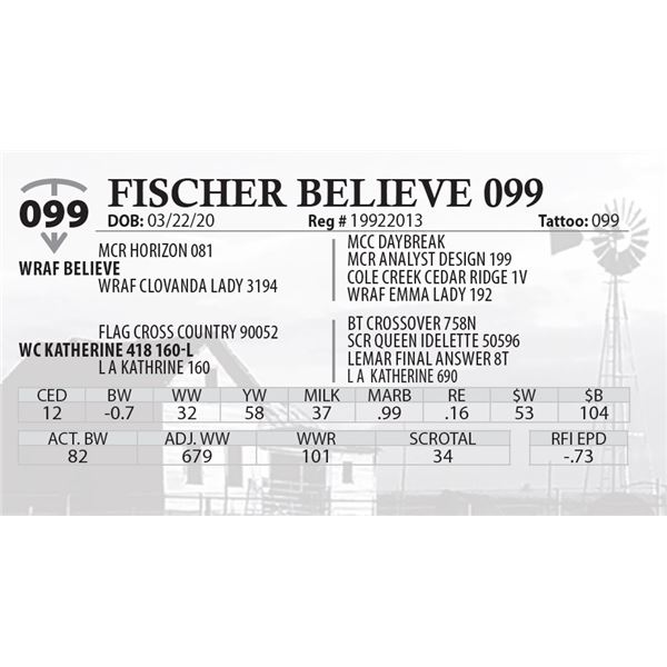 FISCHER BELIEVE 099