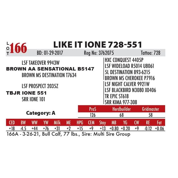 LIKE IT IONE 728-551