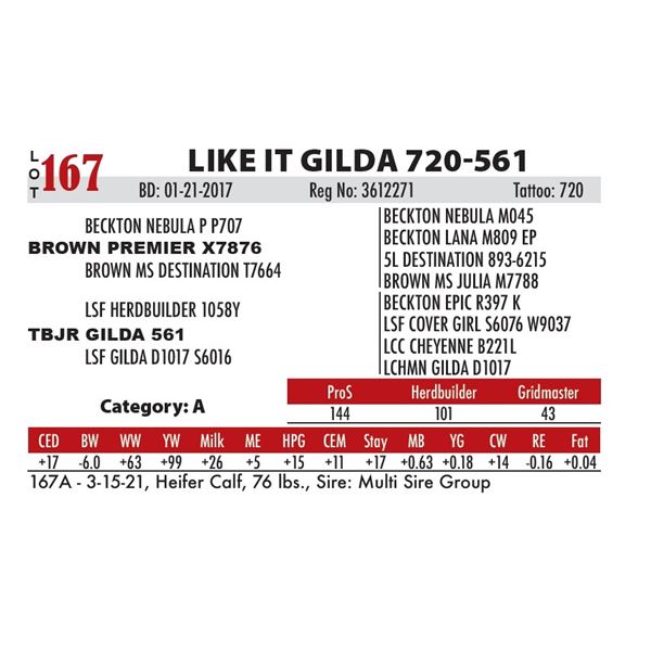 LIKE IT GILDA 720-561