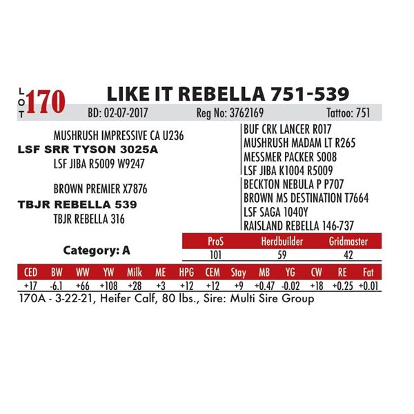 LIKE IT REBELLA 751-539