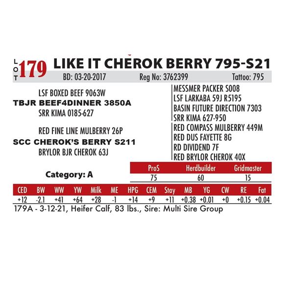 LIKE IT CHEROK BERRY 795-S21