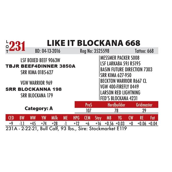 LIKE IT BLOCKANA 668