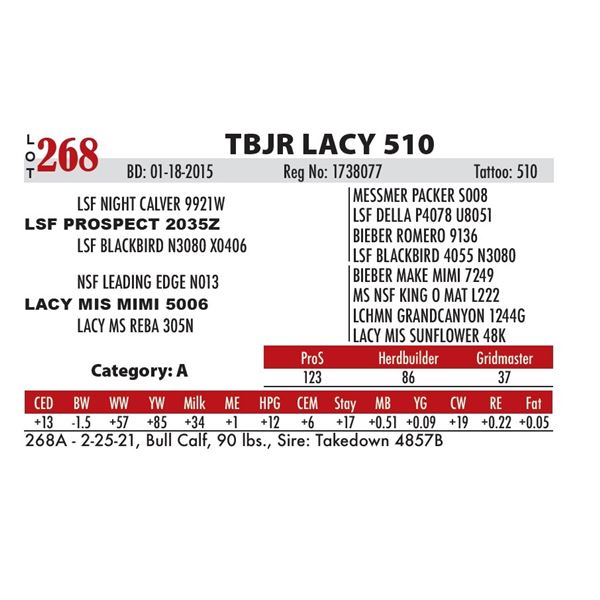 TBJR LACY 510