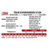 Image 1 : TBJR EVERGREEN 5109