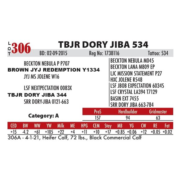 TBJR DORY JIBA 534