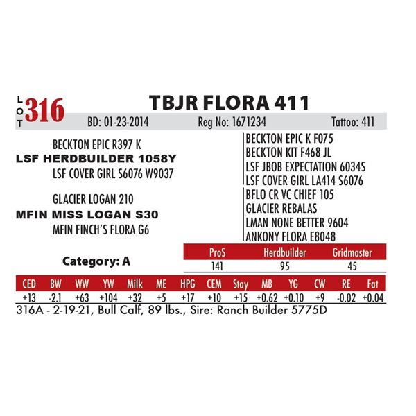 TBJR FLORA 411