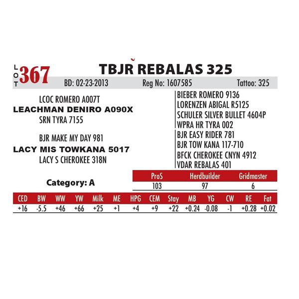 TBJR REBALAS 325