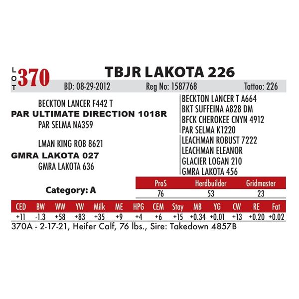 TBJR LAKOTA 226