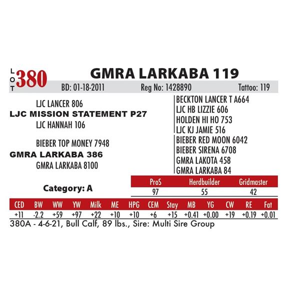 GMRA LARKABA 119