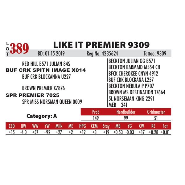 LIKE IT PREMIER 9309