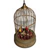 Image 1 : Two Singing Birds in Cage