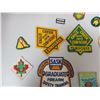 Image 4 : Boy Scout Badges