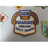 Image 5 : Boy Scout Badges