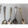 Image 3 : Collect Spoon Lot