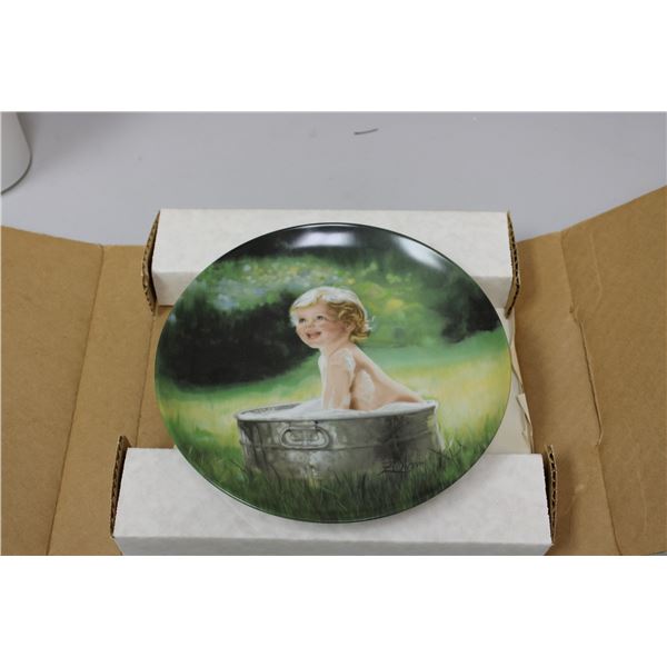 The summer suds collector plate