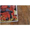 Image 2 : Amazing Spiderman 249