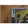 Image 3 : Amazing Spiderman 294 295