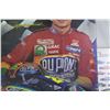 Image 3 : NASCAR Posters on Board