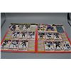 Image 3 : !990-91 Panini Sticker album